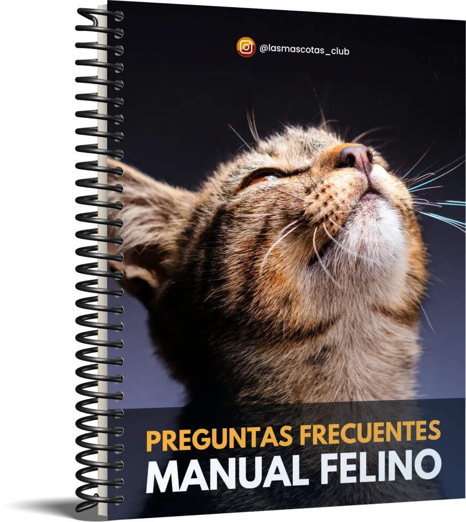 manual_felino_faqs